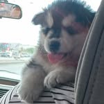 jared fernando olmeda castillo - @gatoolmeda123 - Instagram