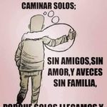Fernando Palacio - @fernandopalacio164 - Instagram
