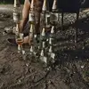 Fernando Palacio - @fernando.palacio364 - TikTok