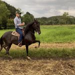 Fernando Palacios - @fernando_palacios.34 - Instagram
