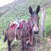 Fernando Parada - Facebook