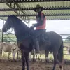 Juan Fernando Parada - @juan.fernando.par3 - TikTok