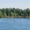 Fernando Parker Royal ok - @fernando.parker.r - TikTok