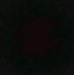 Fernando Patrick - Facebook