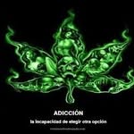 Fernando patron - @fernandopatron4400 - Instagram