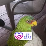 Fernando Patron - @fernando.patron.752 - Instagram