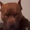Spaider ✊️📿 - @fernando.pecina1 - TikTok
