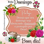 Fernando Pedroso - Facebook