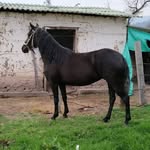 Fernando Perea - @fernando.perea.9634340 - Instagram