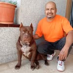 Luis Fernando Raudales Borjas - @luis_fernando_raudales_borjas - Instagram