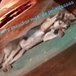 Fernando Recalde - @fernando.recalde.3914 - Instagram