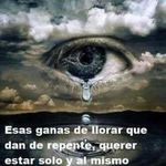 Fernando Lizama Rentas - @lizamarentas - Instagram
