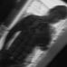 Fernando Rivera - Facebook