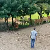Fernando Rivera - @fernandorivera1292 - TikTok