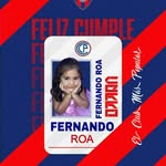 Fernando Roa - @fernandoroa528 - Instagram