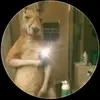 fernando_romeo - @fernando_romeo - TikTok