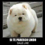 Fernando rosado - @fernandorosado10 - Instagram