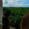 Fernando rosado - @fer_yanuario - TikTok