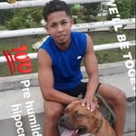 fernando roy - @fernandoroy7 - Instagram