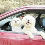 Fernando Roy Arias Villegas - @fernandoroyariasvillegas - Instagram