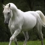 Fernando Ruz - Facebook