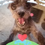Fernando Ruz - Facebook