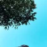 Fernando Ruz - @fer_rzza - Instagram