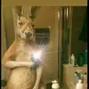 Fernando - @fernando_said - TikTok
