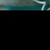 Fernando Said - @fernando.said40 - TikTok