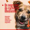 rb - @fernandosalles_1 - TikTok