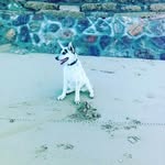 FernandoSaracho - @sarachob__09 - Instagram
