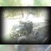 Luiz Fernando Schaeffer Schaeffer - Facebook