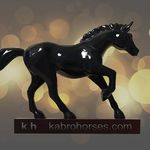 Fernando Schwartz Ruiz - @kabrohorses - Instagram