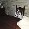 Fernando Sena - @fernandogaston6 - TikTok