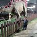 Fernando Sena - Facebook