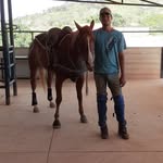Fernando Sequera - @fernandosequeranavas - Instagram