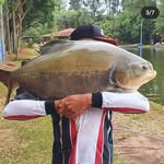 Fernando Silverio - @silveriofisher - Instagram