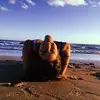 Fernanda Slaughter - @fernandaslaughter - TikTok