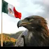 Fernando Garcia Sobe - @fernandosoberanes0 - TikTok