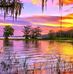 Fernando Solar - Facebook