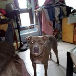 Fernando Hernández - @fernando_soltero_calo - Instagram