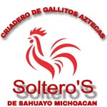 Fernando Soltero - @gallitos_aztecas_solteros - Instagram