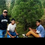 fernandosorciavallejo - @fernando_sorcia_vallejo - Instagram