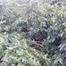 Fernando Soza - Facebook