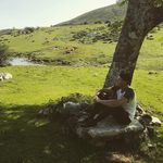 Fernando Suero - @fernandosr92 - Instagram