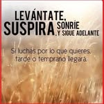 Fernando Sullivan - @fernando.sullivan.756 - Instagram