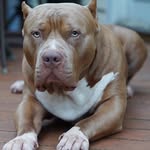 Fernando Tamnge - @fernando_tamnge - Instagram