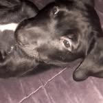 Fernando Tate - @fernando.tate.77 - Instagram