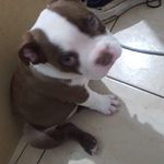 Fernando Terrones Hinostroza - @imkevin1089 - Instagram