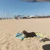 Fernando Tierra - @fernando.tierra6 - TikTok